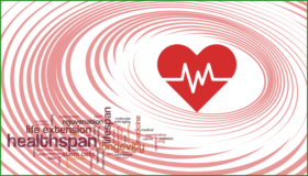 Image with health word cloud + Heart with Waves