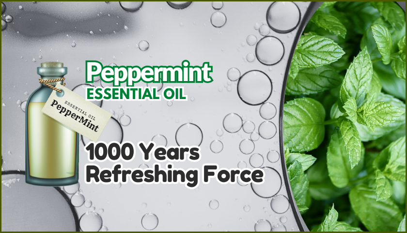 Peppermint Essential Oil Leaves + Bottle