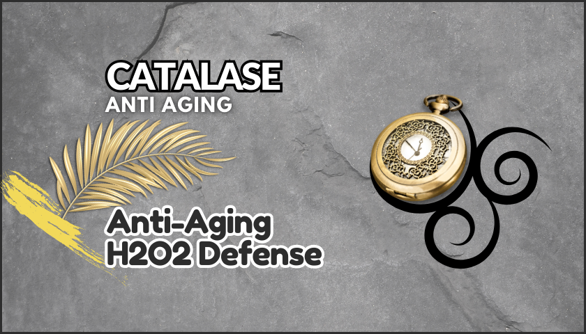 AntiAging Catalase H2O2 Defense - Fern + Gold Stop Watch + Swirl Black