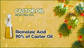 What is Castor Oil - Flowering Plant Image