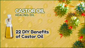 Benefits of Castor Oil - Flowering Plant Image