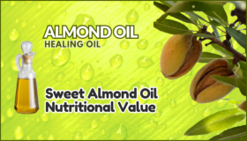 Sweet Almond Oil Tree