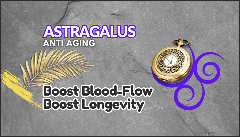 Astragalus Antiaging - Clock + Fern + Purple Swirl