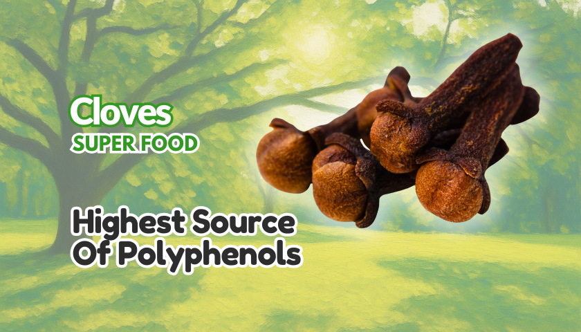 Cloves Polyphenol Health Benefits Infographic