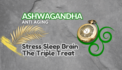 Ashwagandha | Stress Sleep & Brain Support