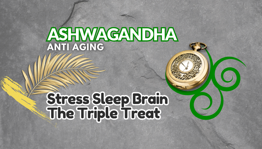 Ashwagandha | Stress Sleep & Brain Support
